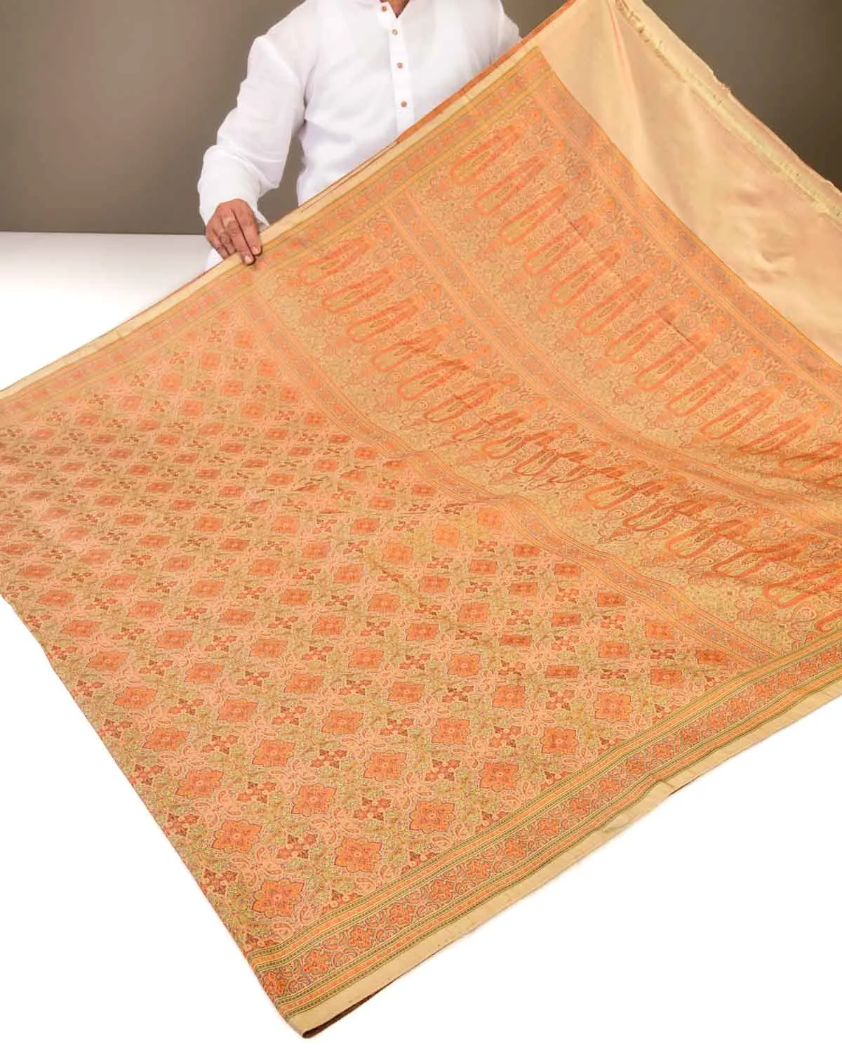 Beige Banarasi Tehri Jamawar Handwoven Katan Silk Saree with Mughal Kairi Jaal