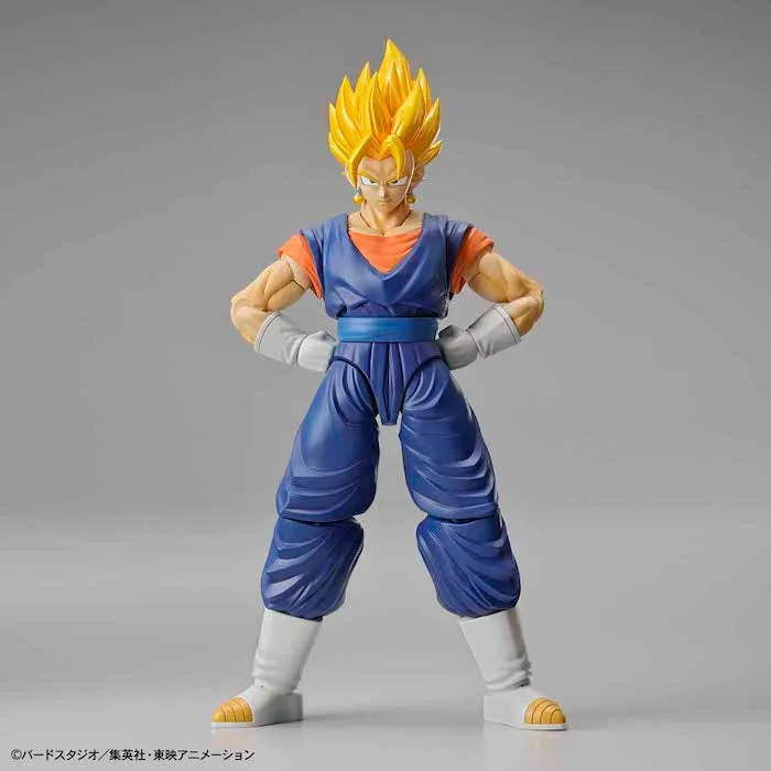 FR - Super Saiyan Vegetto