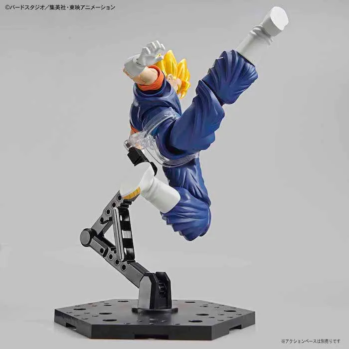FR - Super Saiyan Vegetto