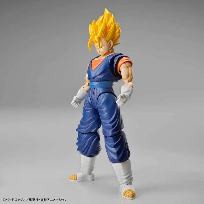 FR - Super Saiyan Vegetto