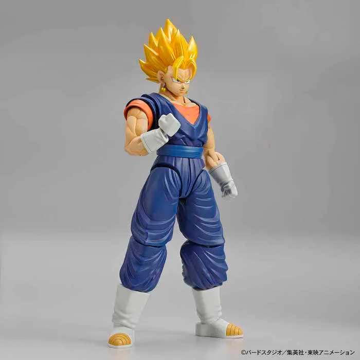 FR - Super Saiyan Vegetto