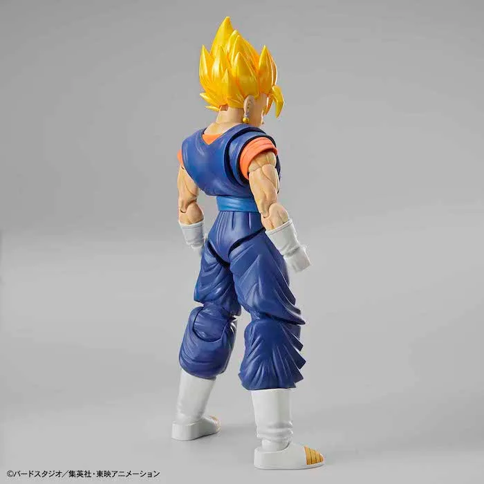 FR - Super Saiyan Vegetto